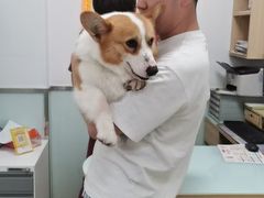 -宠福鑫康馨动物医院·骨科·眼科