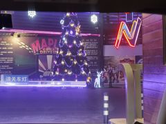 -枫花园汽车电影院(朝阳公园店)
