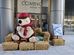 -交通银行前滩31演艺中心