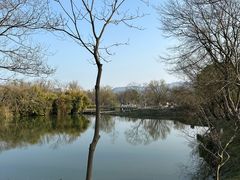 -西溪国家湿地公园