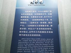 -荆州博物馆