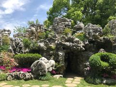 -上海鲜花港
