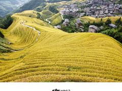 -龙脊梯田