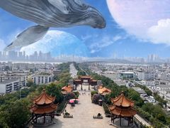 -黄鹤楼公园(黄鹤楼)