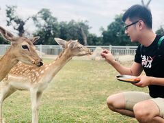 -西安秦岭野生动物园