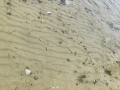 -那香海钻石沙滩浴场