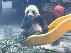 -石家庄市动物园