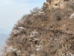 -狼牙山风景区