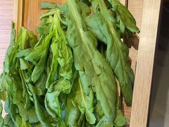 -蝎王府羊蝎子(西直门店)