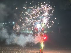 -上海佘山国家森林公园天马山园