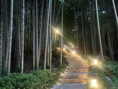 -杭州黄龙洞