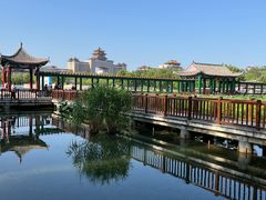 -莲花池公园