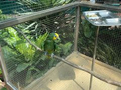 -大连森林动物园