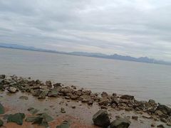 -深圳湾公园(南山区)