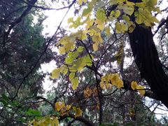 -香山公园-东宫门售票处