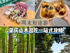 -鼎香皇高佬苏裹蒸粽
