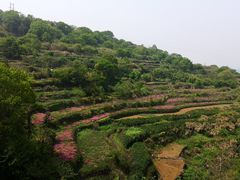 -许家山