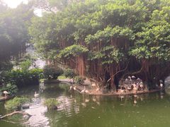 -九龙公园
