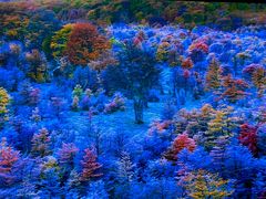 -罗红摄影艺术馆