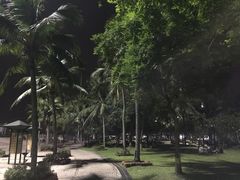 -乔木提恩海滩