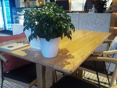 -远洋未来广场(育慧北路店)