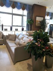 -北京米扬丽格医疗美容·联合丽格鼻整形中心