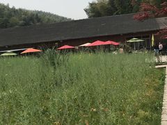 -宁波浙东大竹海景区