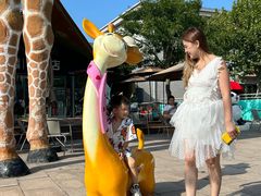 -西霞口神雕山野生动物世界