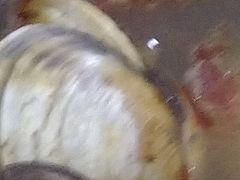 -兆丰海鲜烧烤涮自助(丰南总店)