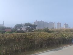 -青岛金沙滩