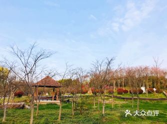 仙林假日家庭放风休闲好去处