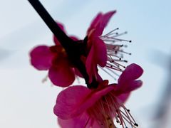 -重庆彩云湖湿地公园