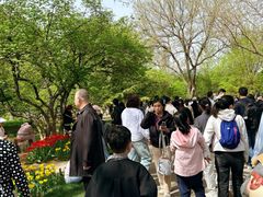 -石家庄市植物园