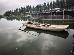 -白洋淀景区