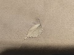 -徐记海鲜(大雁塔|金都店)