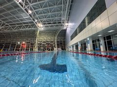 -广西体育中心-游泳馆
