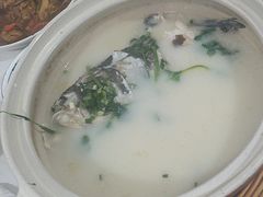 -天乐农家鱼头王(天目湖店)