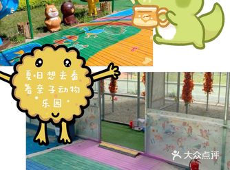 夏日遛娃，万达广场亲子动物乐园！真的温馨！