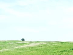 -恋山坝上草原