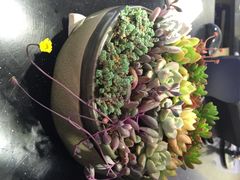 iphone_upload_pic-妈妈的味道(工人体育场东路店)