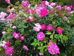 -人民公园(罗湖区)