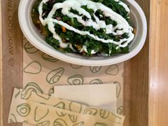 -油梨树AVOCADO TREE(望京店)