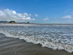 -金海湾海鲜排档(朱家尖店)