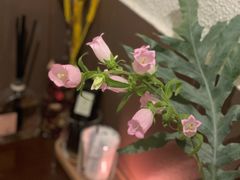 -肆海小川菜酒馆Wine Bistro (青年路店)