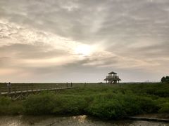 -北海金海湾红树林生态旅游区