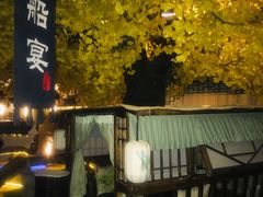 -淀里船宴(裕华东路店)