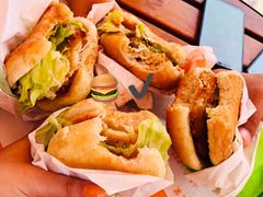 -蓬莱欧乐堡梦幻世界