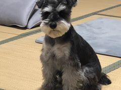 -仰生如卉推拿养生馆(酒仙桥店)