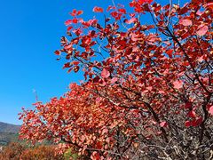 -鬼笑石后山停车场