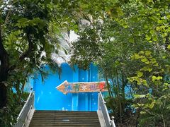 -深圳野生动物园